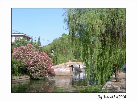 C200419_jpg.jpg