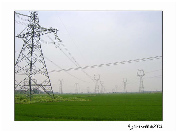 C200433_jpg.jpg