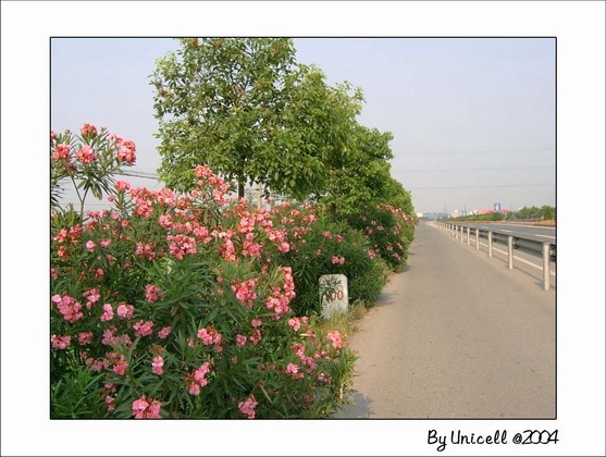 C200434_jpg.jpg