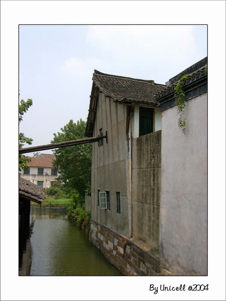 C200441_jpg.jpg