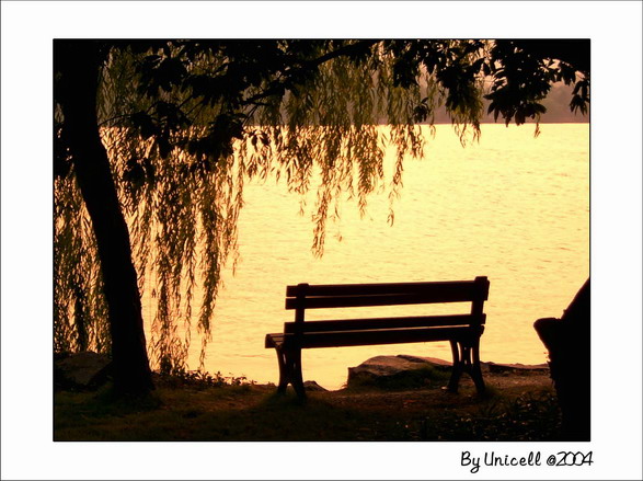 C200446_jpg.jpg