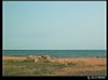 北戴河 2006