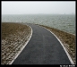 Misc 2008