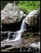 thy200801.jpg