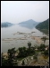 thy200804.jpg