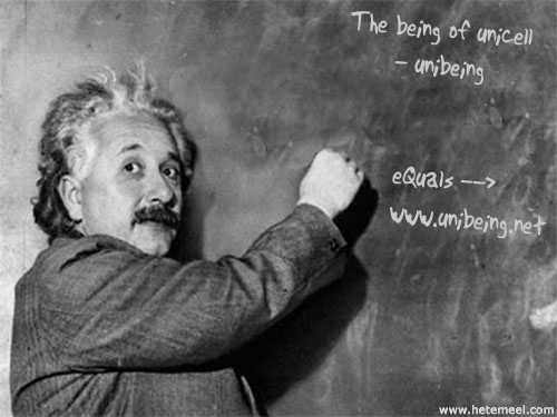 unicell_einstein.jpg