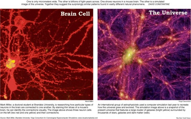 neuron-galaxy